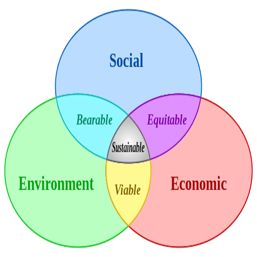 sustainable developpment goals set theory
